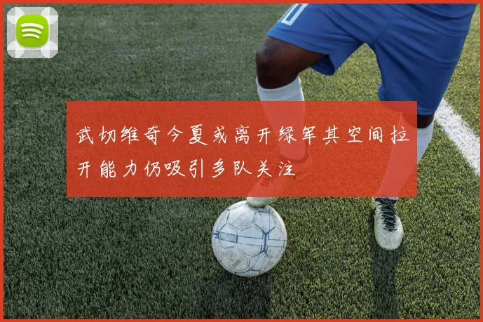 武切维奇今夏或离开绿军其空间拉开能力仍吸引多队关注