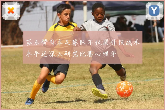 苏东赞日本足球队不仅提升技战术水平还深入研究比赛心理学